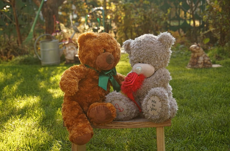 Teddy Bear Hugs, grass, trees, red rose, teddy bears, watering can, green ribbon, hugs, love, garden, chair, rake, HD wallpaper