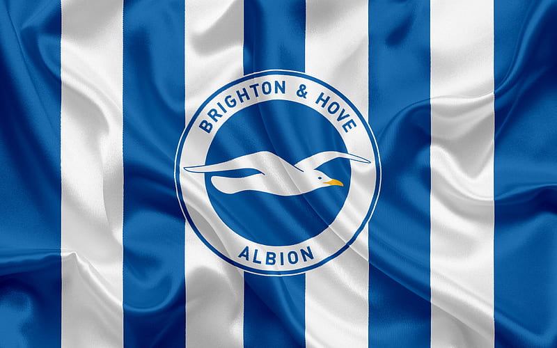 Brighton Hove Albion, Football Club, Premier League, Brighton Hove, United Kingdom, England, emblem, logo, English football club, HD wallpaper
