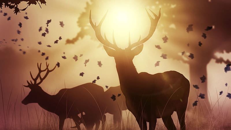 HD deer wallpapers | Peakpx