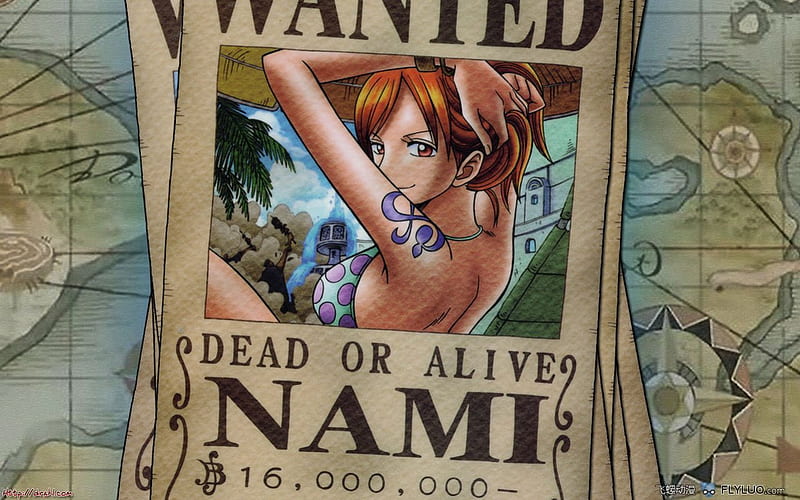 Nami Wanted Dead Or Alive, nami, cant think of a fourth, one peice, wanted,  HD wallpaper | Peakpx