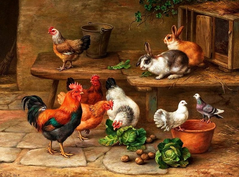 Backyard Countryside, rooster, doves, hens, painting, rabbits, artwork, HD wallpaper