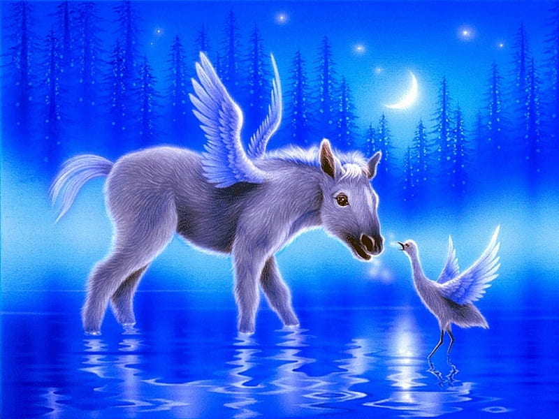 Young Pegasus, paint, bird, horse, animal, blue, HD wallpaper
