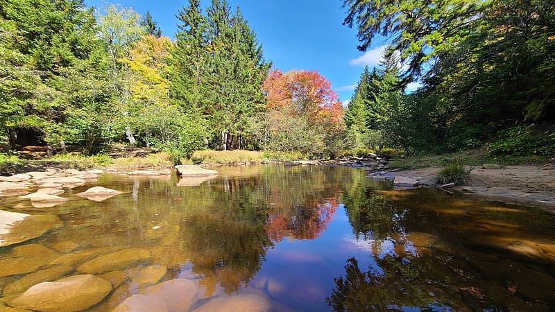 Dolly Sods West Virginia in the Fall, reflections, trees, landscape, water, usa, HD wallpaper