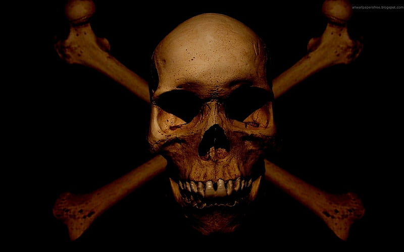 Skull and Bones, fantasy, symbolic, dark, socket, bones, skull, teeth, HD wallpaper