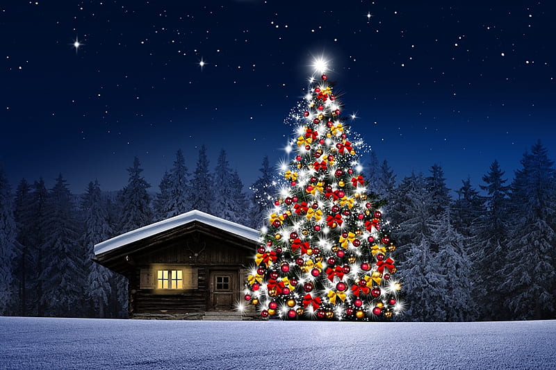Christmas tree, Forest, Snow, House, Night, HD wallpaper | Peakpx