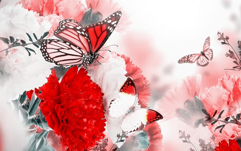 Butterflies on the Flowers, bloom, flowers, butterflies, carnation, branches, pink, animals, insects, HD wallpaper
