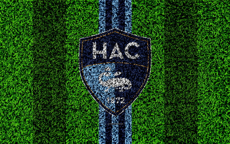 Le Havre FC logo, football lawn, french soccer club, blue lines, grass texture, Ligue 2, Le Havre, France, soccer, soccer field, Le Havre AC, HD wallpaper