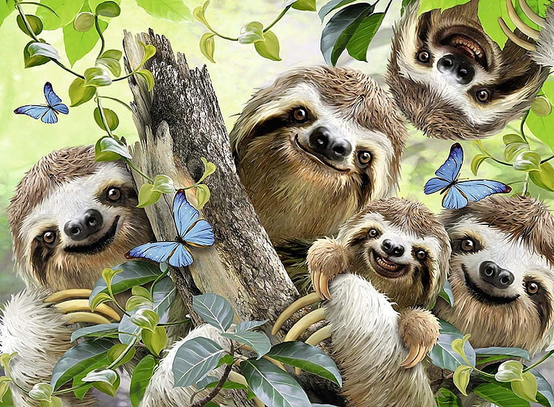Happy Sloths, animal, family, sloth, moving, slow, smiling, happy, HD wallpaper