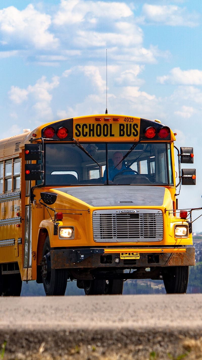 School Bus In Yellow, bus, school bus, vehicle, volkswagen bus, HD phone wallpaper