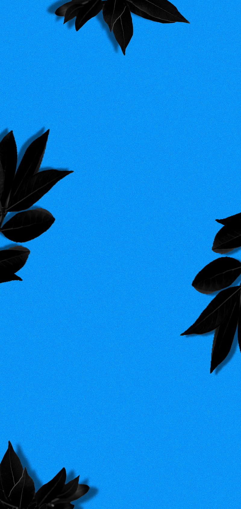 Laurel Leaf, abstract, black, blue, dark, hole, natur, punch, punch hole, samsung, HD phone wallpaper