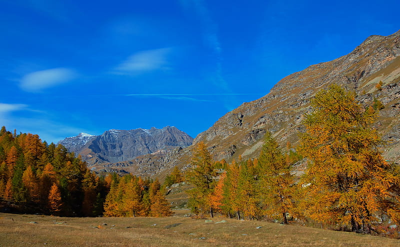 Autumn ***, red, autumn, nature, trees, sky, blue, HD wallpaper | Peakpx