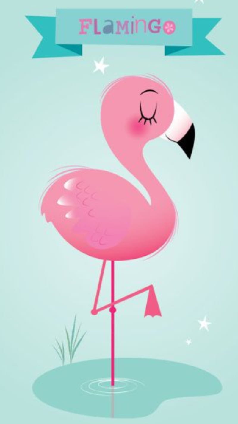 LaFlamingomingo, flamingo, flamingos, girly, pink, HD phone wallpaper