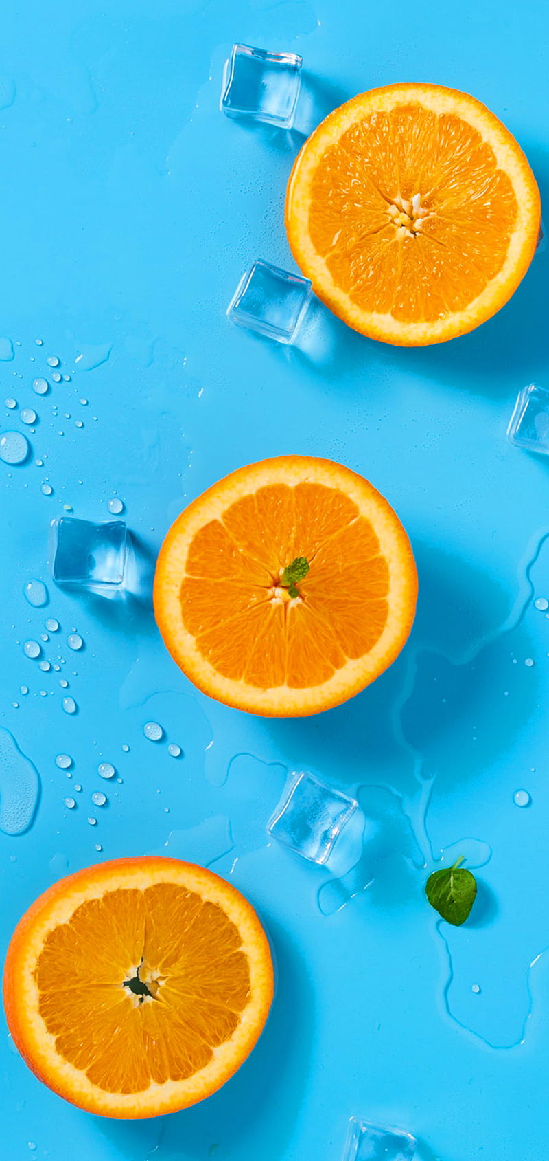 Oranges, blue, fruit, orange, HD phone wallpaper