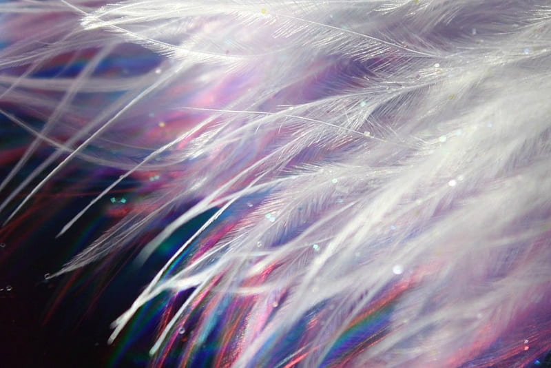Feathers, feather, texture, black, white, pink, HD wallpaper