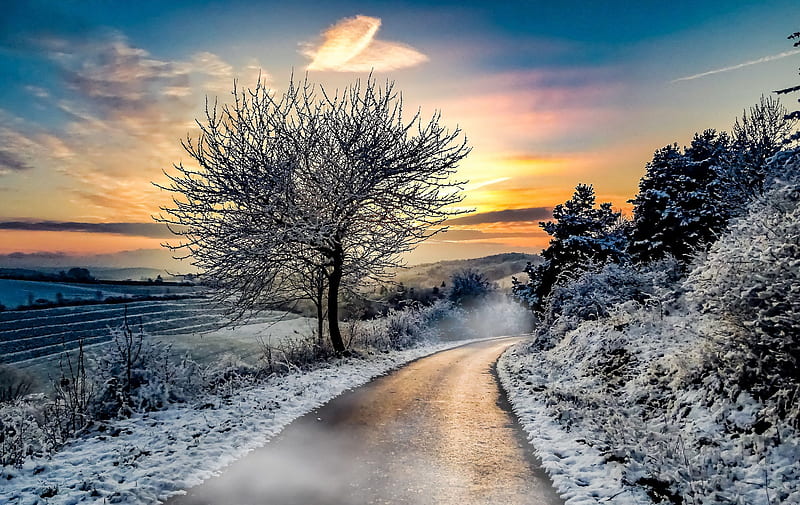 Winter Road Snow, winter, road, snow, nature, HD wallpaper