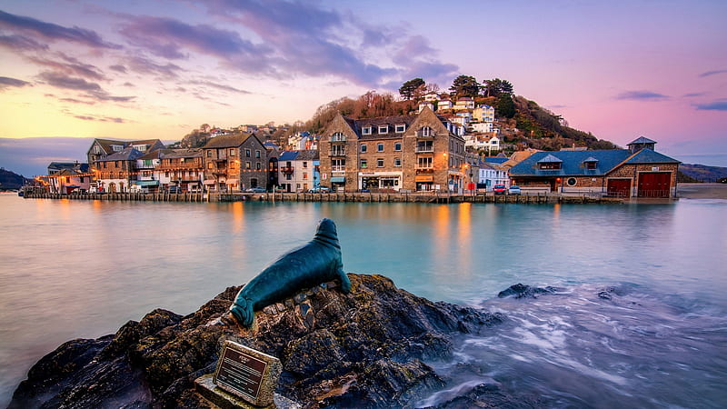 statue of nelson the seal at looe cornwall england, rocks, statue, town, harbor, HD wallpaper