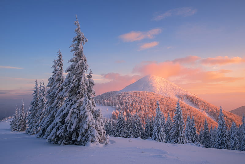 Glorious Winter Mountain Sunset, Mountains, Trees, Snow, Sunsets