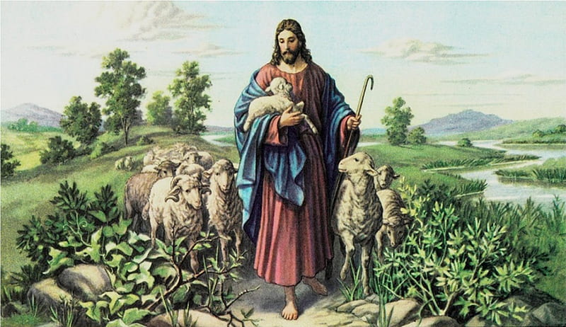 Jesus Christ, good shepherd, christ, jesus, gospel, lamb, shepherd, god, HD wallpaper