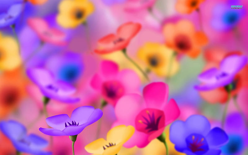 Pansies of Many Colors, colorful, art, pretty, lovely, pansies, flowers, spring, petals, HD wallpaper