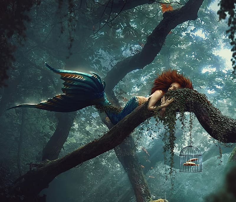 Forest mermaid, forest, siren, tree, mermaid, fantasy, huseyin sahin, HD wallpaper