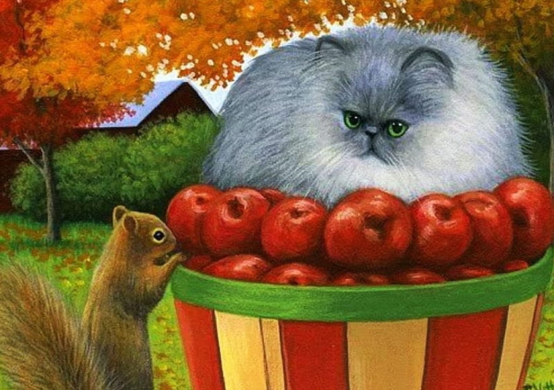 Harvest Watch, squirrel, leaves, apples, colors, cat, trees, HD wallpaper