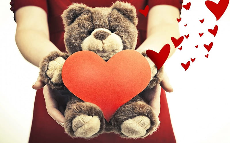 For you!, cute, red, toy, hand, valentine, white, teddy bear, hear, HD wallpaper