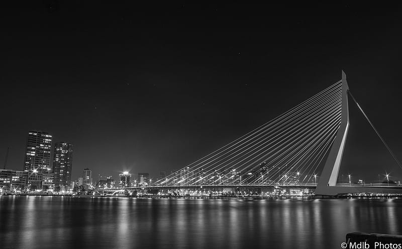 Erasmus bridge Rotterdam Ultra, Black and White, Monochrome, blackandwhite, bridge, erasmus, HD wallpaper