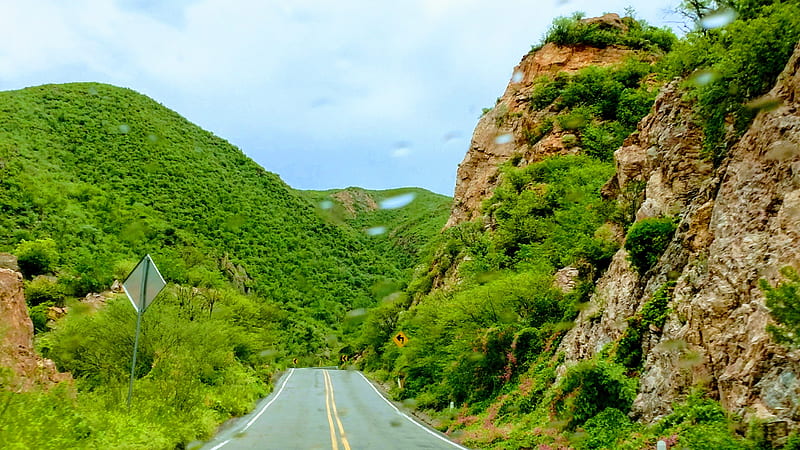 Road green , carretera, highway, mountain, nature, travel, viaje, HD wallpaper