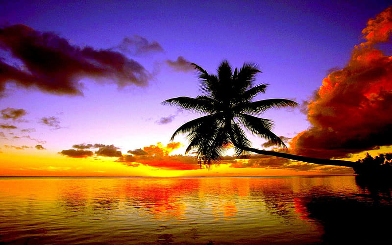 TROPICAL SUNSET, sunset, plm, tropics, clouds, sea, HD wallpaper | Peakpx