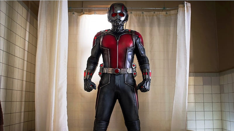 Paul Rudd As Scott Lang Ant-Man, HD wallpaper