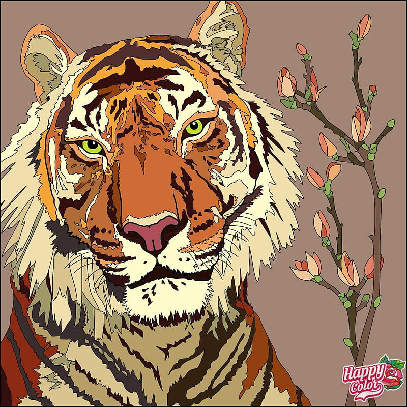 Tiger , bydin, harimaubelang, harimaumalaya, tigers, tigersiberia, HD phone wallpaper