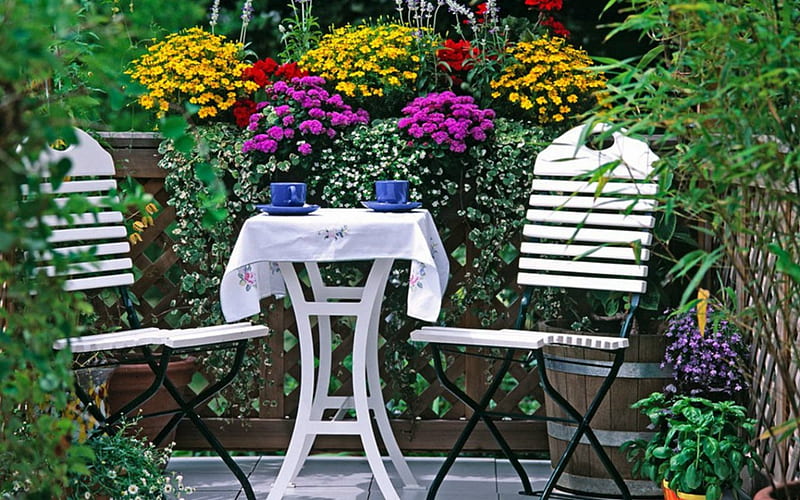 Good Morning, table, flowers, cup, garden, chair, HD wallpaper