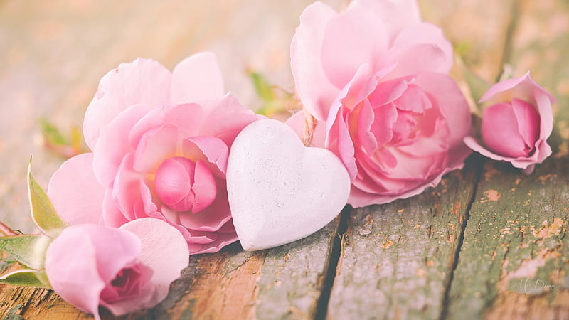 Pink Roses with Heart, rustic, Valentine Day, roses, February, heart, romantce, pink, Firefox Persona theme, wood, HD wallpaper