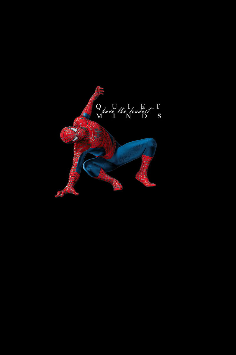 Download Cute Spiderman Punch Hole 4K Wallpaper  Wallpaperscom