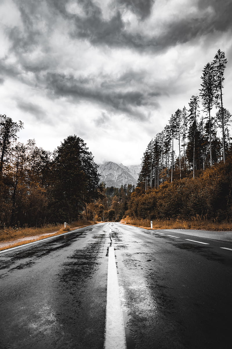 road, asphalt, wet, forest, mountains, HD phone wallpaper