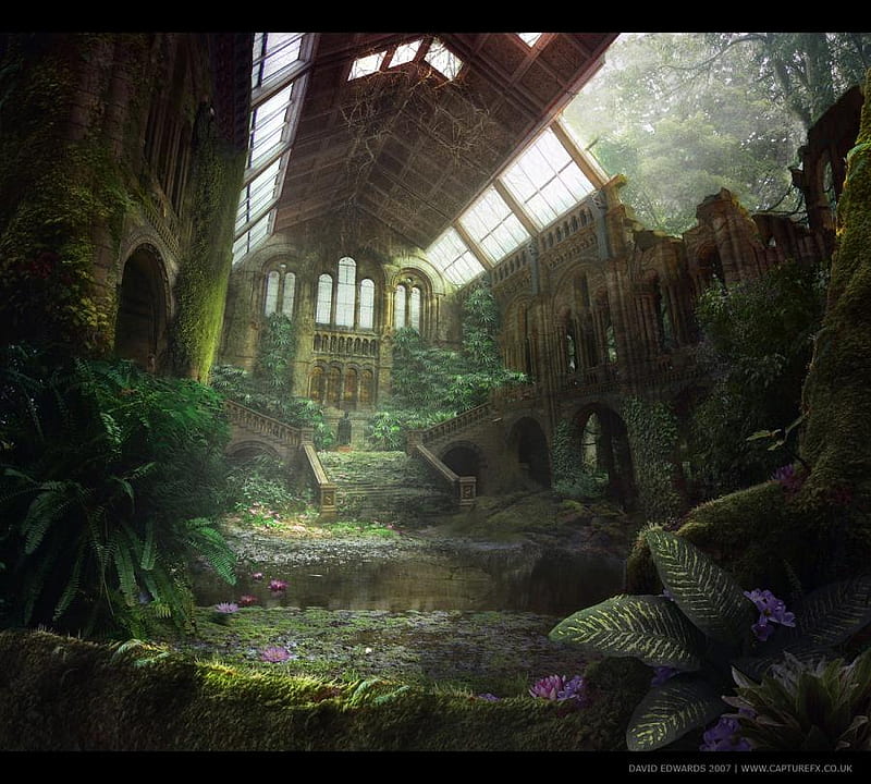 Jungle Ruin, house, jungle, flowers, stairs, ruin, steps, HD wallpaper