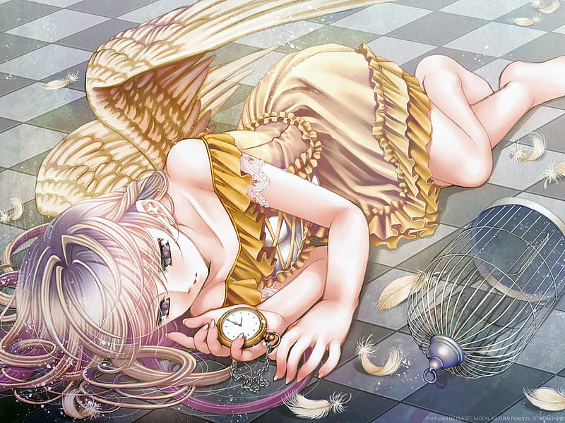 Angel and cage, pretty, colorful, dress, lovely, golden angel, angel, sexy, cute, nice, watch, girl, cage, anime, long hair, HD wallpaper