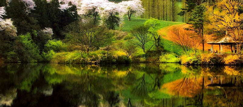 Yongbigi Reservoir In Springtime, grass, colors, yellow, bonito, Korea, spring, trees, lake, nature reserve, green, reflection, white, pink, HD wallpaper