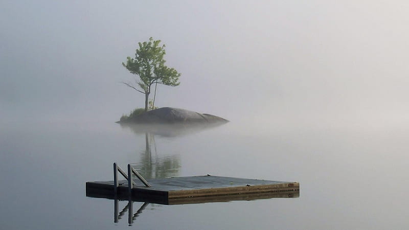 island tree and floating raft in morning mist, tree, island, lake, raft, mist, HD wallpaper