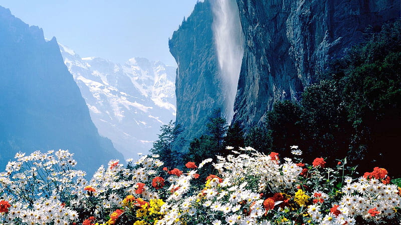 Flowers Mountains Cliff, mountains, flowers, nature, HD wallpaper