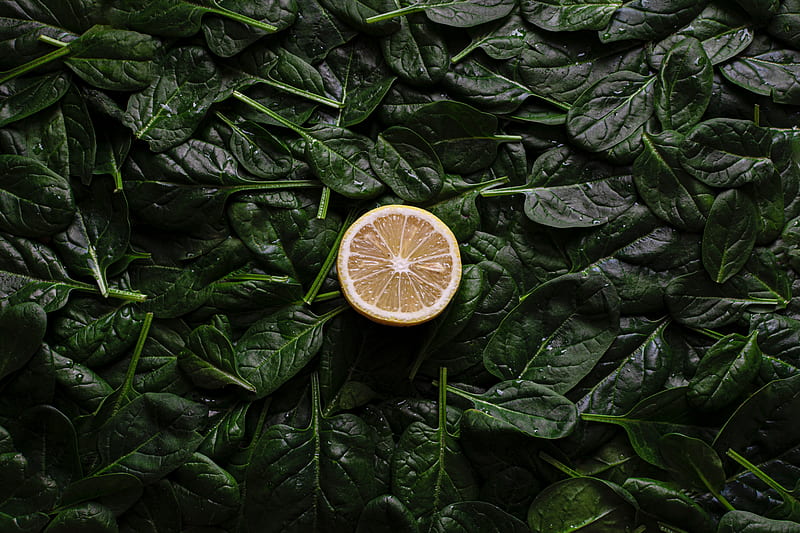 Sliced Orange Fruit on Green Leaves, HD wallpaper