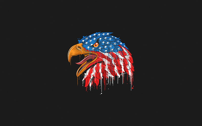 Bald Eagle, USA Flag, grunge art, American flag, creative art, Flag of USA, gray background, eagle, HD wallpaper