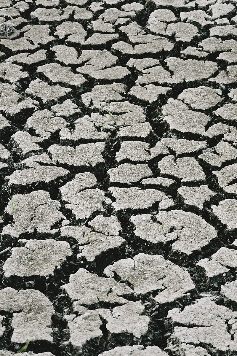 From above black and white abstract of dry cracked solid ground in arid terrain, HD phone wallpaper