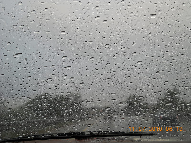 rainy day, rain, natute, car, HD wallpaper