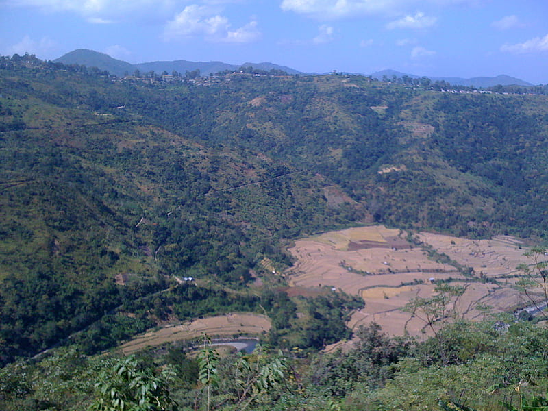 Nagaland-10, mountain, hills, village, terrace cultivation, HD wallpaper