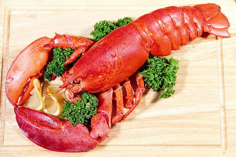 *** Lobster ***, see, food, color, pink, lobster, HD wallpaper