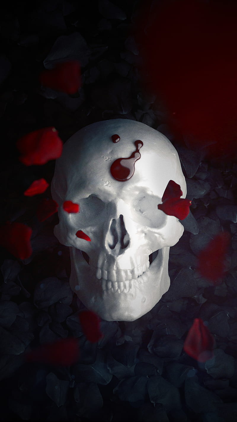 Skull Roses, skull, roses, blood, death, macabre, fashion, goth, gothic, flower, dark, HD phone wallpaper