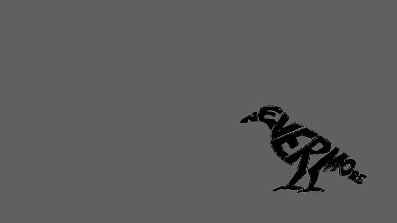 Dark, Bird, Animal, Edgar Allan Poe, HD wallpaper
