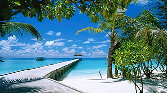 Pier on Tropical Beach, maldives, nature, beaches, pier, HD wallpaper |  Peakpx
