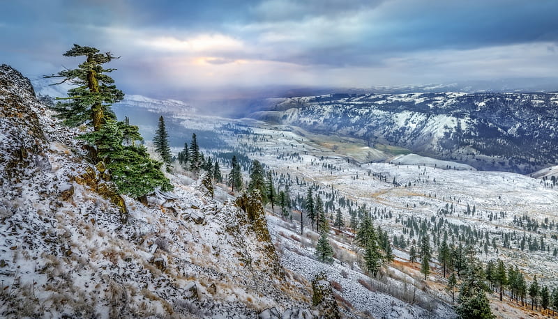 Mountain, tree, snow, natu, wintwer, nature, HD wallpaper